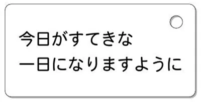 ナンバープレートキーホルダー 裏面 乗用車用 バランス見本 メッセージ