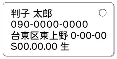 ナンバープレートキーホルダー 裏面 乗用車用 バランス見本 所有者
