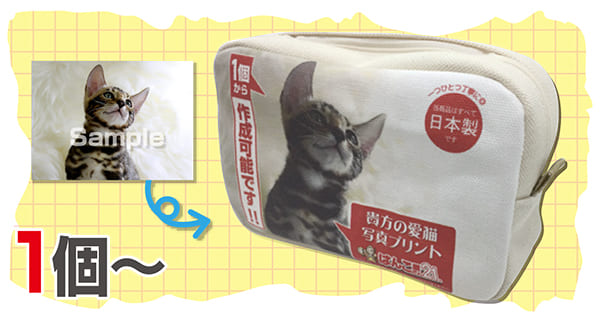 ふつうのポーチ