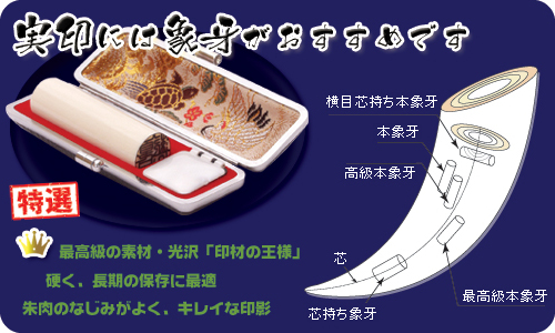 実印には象牙がおすすめです。
