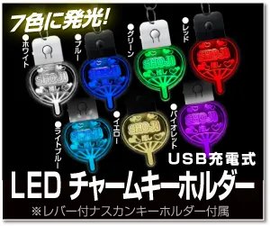 LEDチャームナンバープレートキーホルダー