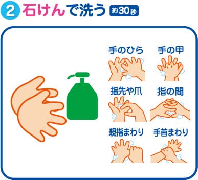 ②石けんで洗う(約30秒)